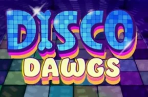 Disco Dawgs